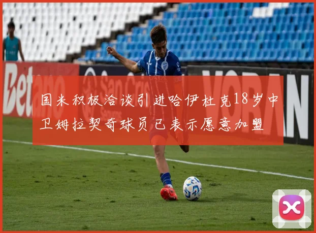 国米积极洽谈引进哈伊杜克18岁中卫姆拉契奇球员已表示愿意加盟