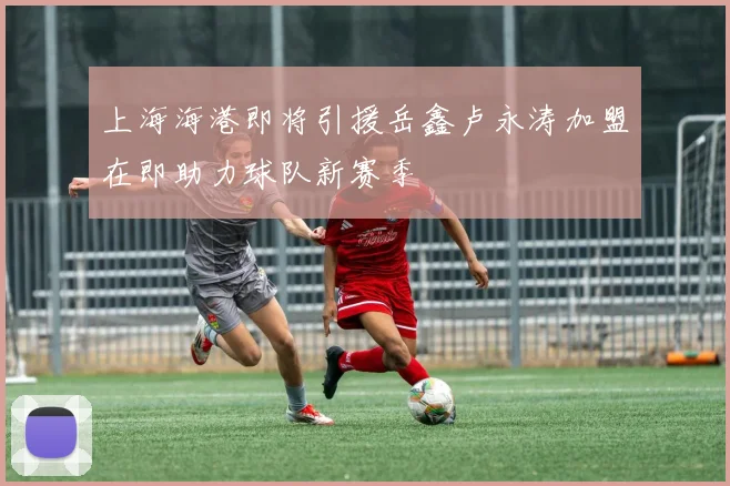 上海海港即将引援岳鑫卢永涛加盟在即助力球队新赛季